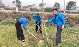 Đoàn viên thanh niên phát động Tết trồng cây, thi đua chào mừng Đại hội Đảng các cấp