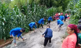 Đoàn viên thanh niên tham gia chiến dịch bê tông hóa, nối kết muôn nẻo đường