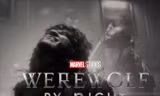 Phim hay mùa Halloween: Loạt siêu anh hùng Marvel mới xuất hiện trong "Werewolf by Night"