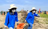 Đoàn viên thanh niên dọn rác, làm sạch bờ biển