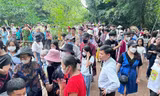 Hàng nghìn du khách về thăm quê Bác trong ngày thống nhất non sông