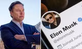 Diễn biến oái oăm trên Twitter sau thông báo thu phí "tick xanh", Elon Musk cũng không ngờ tới