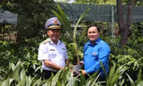 Dừa Bến Tre đến Trường Sa