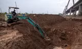 Các chủ vườn đào ở Hà Nội chi bộn tiền để cải tạo vườn sau lũ