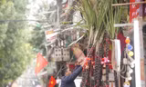 Mía lộc nguyên lá 'đổ bộ' xuống phố Hà Nội chờ đón Giao thừa