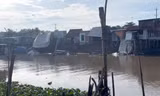  Sạt lở lớn ở An Giang, 6 căn nhà trôi xuống sông