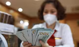 Giá USD tiếp tục lập đỉnh, giá vàng chững lại 