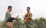 Rời công việc thuyền trưởng với mức lương khá để về làm nông