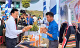 Đắk Nông hỗ trợ 200 tỷ đồng cho thanh niên vay vốn khởi nghiệp