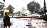 Mưa lớn kèm đá quật ngã cây đè trúng xe cứu thương 