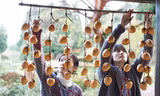 “Little Forest”: Bộ phim về những món ăn ngon và thông điệp chúng cất giấu của Ichiko