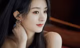 Trong thế giới fangirl: Nhật ký yêu nghiêm túc một ngôi sao nhỏ mang tên Triệu Lệ Dĩnh