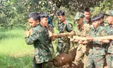 Phát hiện quả bom nặng 3,5 tạ trong vườn điều ở Bình Phước