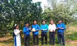 Bình Phước khởi động Tháng Thanh niên với chuỗi hoạt động ý nghĩa