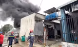 [CLIP] Lửa bao trùm xưởng phế liệu ở Bình Dương