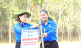 Trồng mới 1 triệu cây xanh 'Vì một Bình Dương xanh'