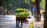 Thời tiết ngày 20/10: Hà Nội nắng đẹp, Sài Gòn có mưa