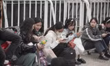 Cảnh fan vạ vật