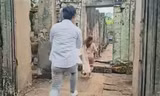 Trào lưu TikTok ‘chạy nước rút’ đe dọa đền thờ Angkor Wat của Campuchia 