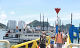 Khách thăm vịnh Hạ Long