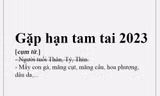 Gỏi gà măng cụt, trà hoa giấy khiến dân tình than thở "năm tam tai của động thực vật"