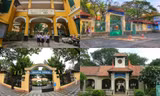 Vụ cây đổ khiến học sinh tử vong: Nguy cơ tiềm ẩn từ cây tuổi đời lâu năm tại các trường