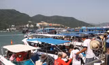 Đông đảo du khách chọn tour biển đảo Nha Trang để tham quan