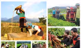 Tăng cường tháo gỡ khó khăn, thúc đẩy triển khai thực hiện 3 chương trình mục tiêu quốc gia