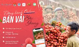 Phát động chiến dịch tình nguyện ''Đồng hành online - bán vải Bắc Giang''