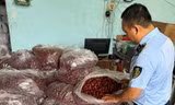 TPHCM: Phát hiện hàng tấn thực phẩm '3 không' chờ tiêu thụ