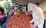 Mận hậu đổ bộ Sài thành, 'giá nào cũng có'