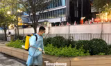 Đường hoa Nguyễn Huệ được phun khử khuẩn phòng COVID-19 hàng ngày