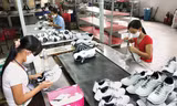 Doanh nghiệp công nghiệp hỗ trợ ngành da, giày túi xách ngoại đổ bộ đến Việt Nam tìm cơ hội làm ăn 