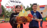 'Vua gà Tiên Yên' - cuộc thi có một không hai