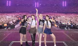 Lưu ý khi mua vé xem online concert cuối cùng trong world tour "Born Pink" của BLACKPINK