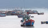 Việc vừa khai thác, vừa bảo tồn nguồn lợi thủy sản là việc hết sức cấp thiết