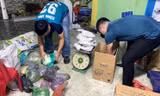 Cảnh sát phát lộ căn hầm bí mật để sản xuất pháo trái phép ở Thanh Hoá