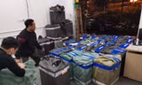 Số khẩu trang bị tạm giữ.