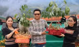 Đấu giá 4 kg sâm Ngọc Linh lấy tiền xây làng du lịch 