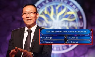Câu hỏi đánh đố của Ai Là Triệu Phú: Cháo nào khác biệt giữa cháo gà, bò, heo và vịt?