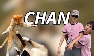 Từ điển Gen Z: "Chan" là gì mà xuất hiện khắp cõi mạng thời gian qua?