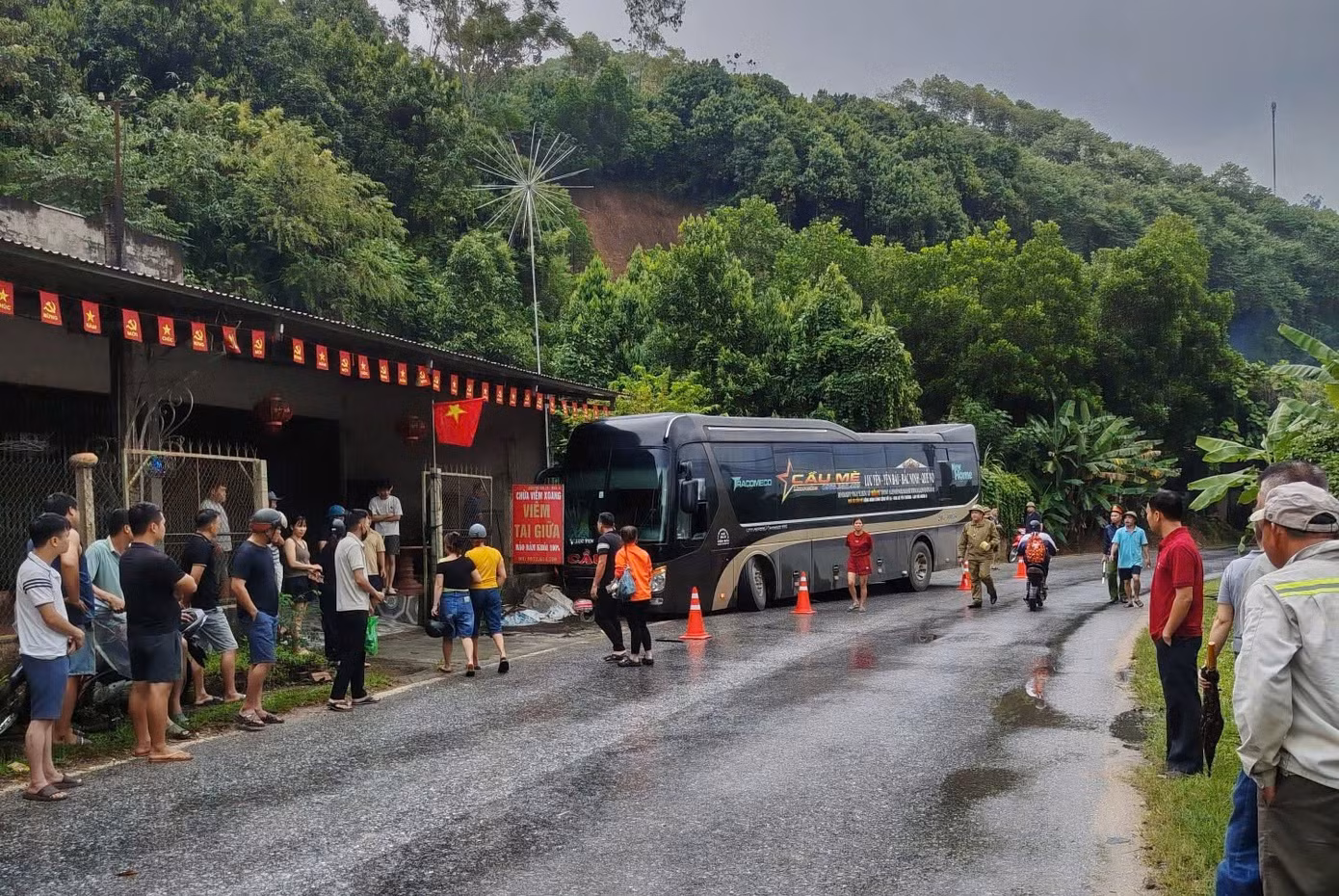 44561.jpg
