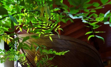 Ngôi nhà với cách sắp đặt không gian thú vị dùng cả chiếc thuyền làm nội thất