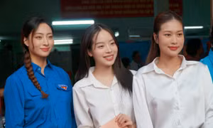 Nhiều hoa hậu, á hậu chia sẻ cảm xúc khi thực hiện quyền công dân. Hoa hậu Tiểu Vy viết: "Hưởng ứng ngày hội non sông - bầu đại biểu Quốc hội Việt Nam khóa XVI và Hội đồng nhân dân các cấp nhiệm kỳ 2026-2031".