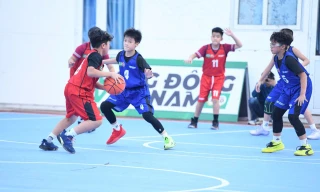 Vinh danh các nhà vô địch Giải Bóng rổ học sinh Tiểu học Hà Nội