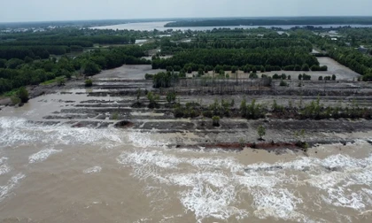 Mỗi năm mất hơn 50m đất ven biển Cà Mau 