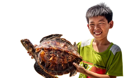 Con đồi mồi (tiêu bản) gợi nhớ đến Hòn Sơn Rái một thời bạt ngàn cua, ốc, rái cá, rùa biểnẢnh: Lê Văn Chương