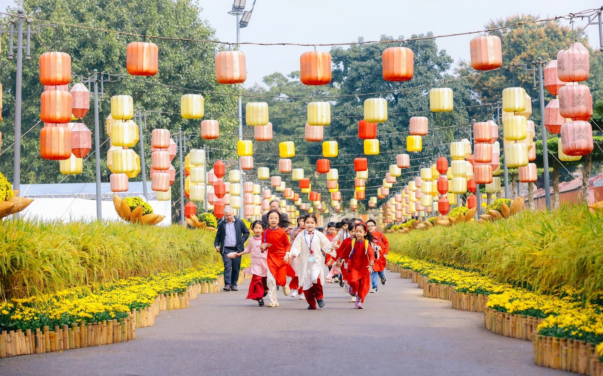 Không Khí Tết Bính Ngọ 2026: Từ Màn Ảnh VTV Đến Làng Cổ Ven Đô Hà Nội