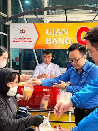 Nhiều hoạt động thiết thực của tuổi trẻ các cơ quan Đảng tỉnh Nghệ An