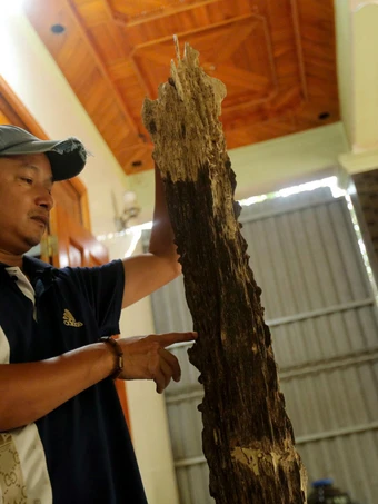 Cận cảnh khối gỗ trầm nặng hơn 15 kg được trả hơn nửa tỷ đồng